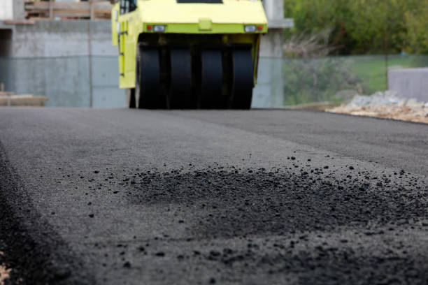 Best Brick Driveway Pavers  in Timber Pines, FL